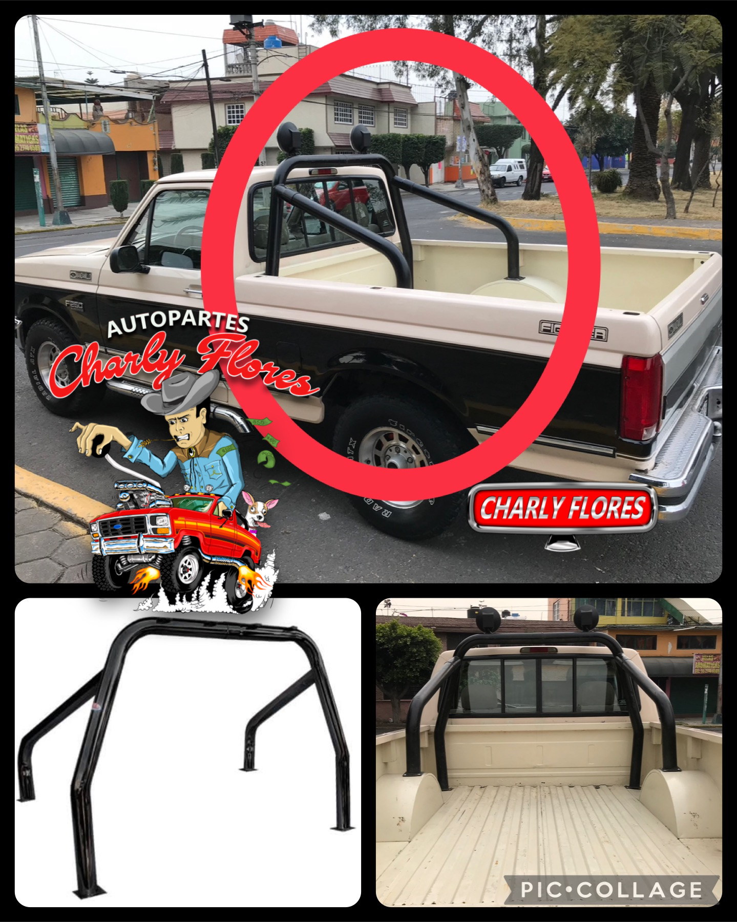 Roll bar F-Series